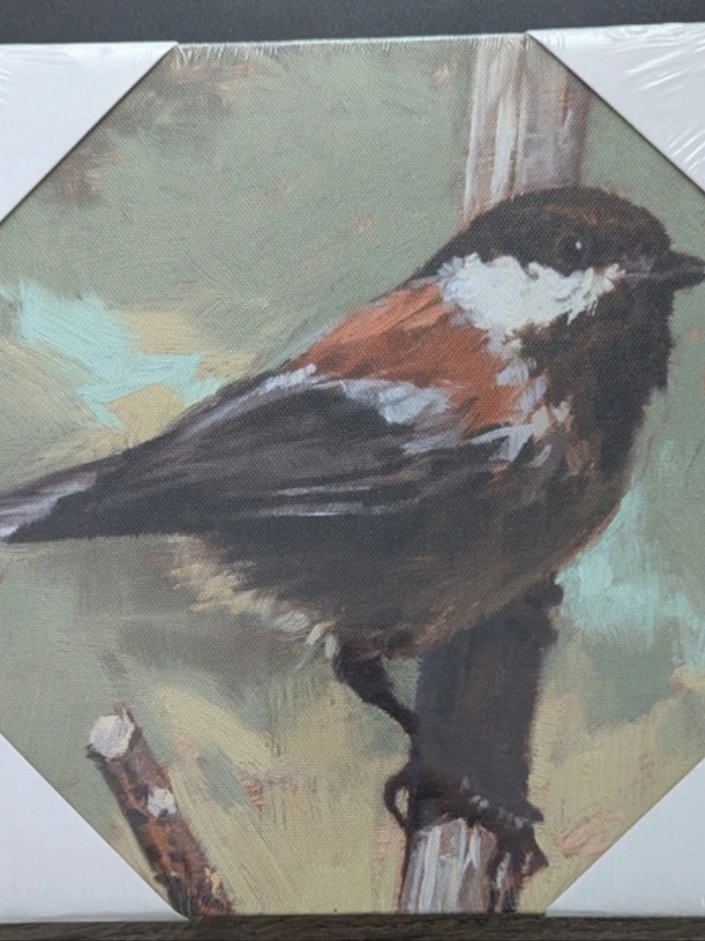Sullivans Darren Gygi Bird Canvas Wall Art Bird Wall Art Print Green Brown New